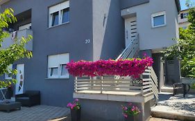 Vigo Apartman